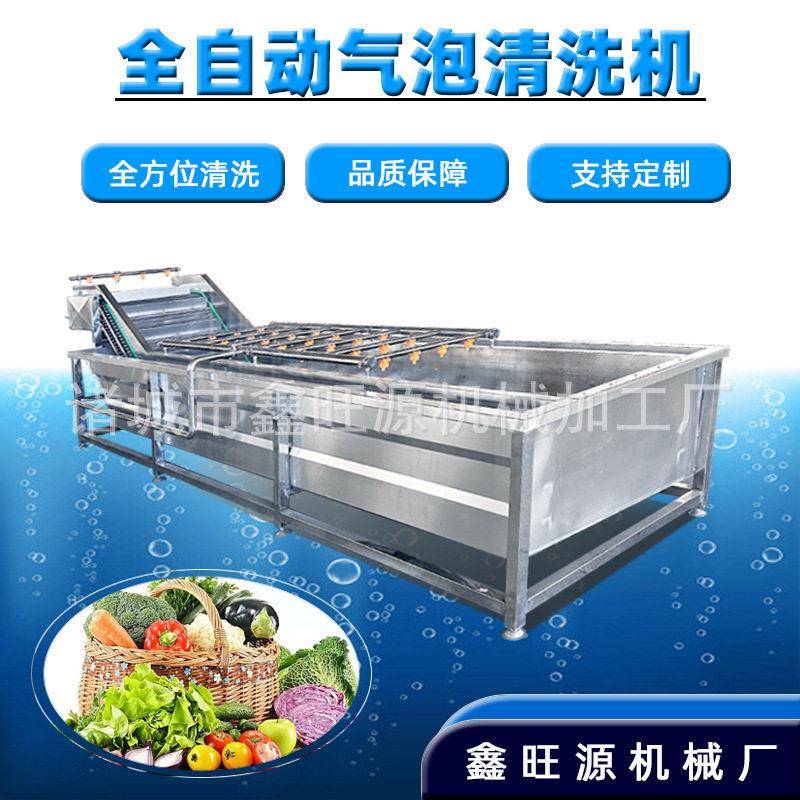 加工定制商用全自动压喷淋式气泡清洗机荠菜连续式气泡净洗机