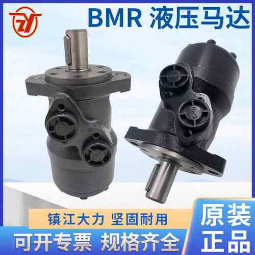 BMR-80-2AD 100 125 160 200 250 315 原装镇江大力摆线液压马达