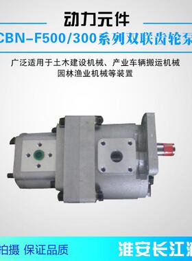 CBN-F500/300系列双联齿轮泵高效液压齿轮油泵厂家直发淮安长江液