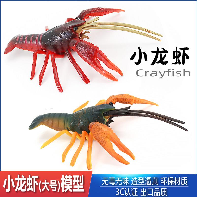 仿真实心小龙虾模型玩具塑胶摆件河虾海鲜螃蟹动物儿童认知礼物