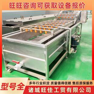 多功能果蔬海产海鲜去泥沙设备喷淋式 苹果香梨猕猴桃气泡清洗机