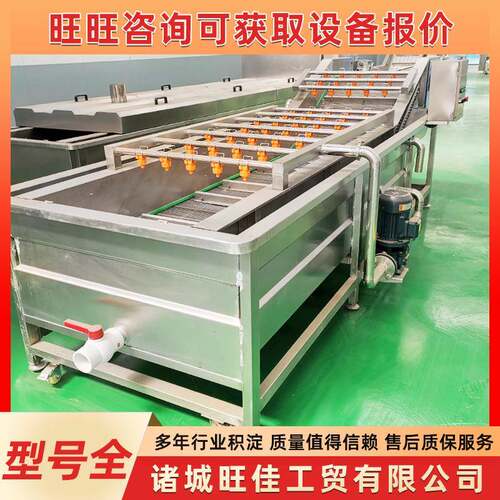 多功能果蔬海产海鲜去泥沙设备喷淋式苹果香梨猕猴桃气泡清洗机