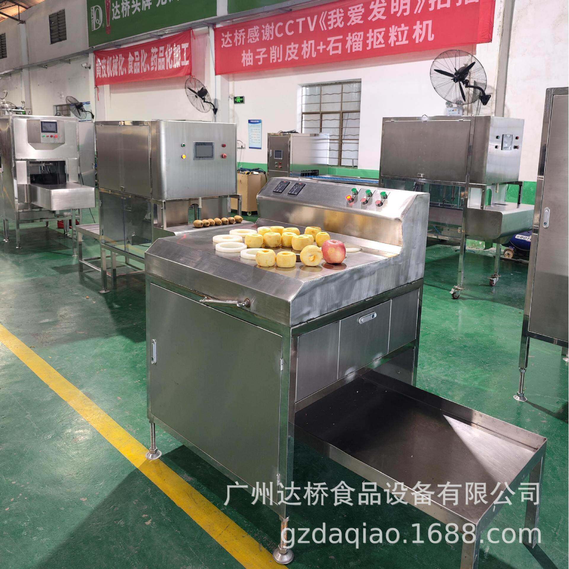 DQ广州达桥工业型苹果速切片机果鲜切果干生产线果脯商用切块机