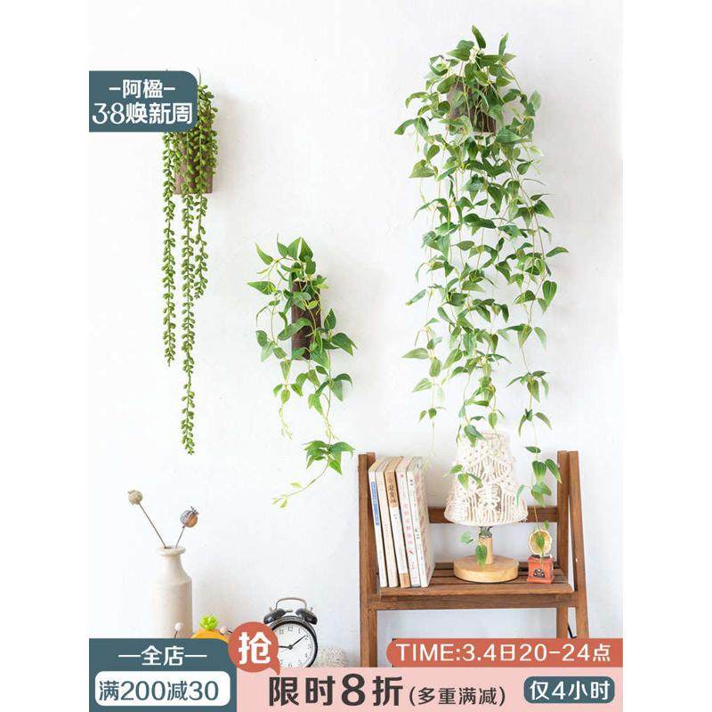 EQ4F阿楹 墙上仿真植物装饰多肉壁挂花盆 垂藤阳台田园墙面绿植小,家居饰品,壁饰,淘宝优惠券,粉丝福利购,淘宝优惠卷