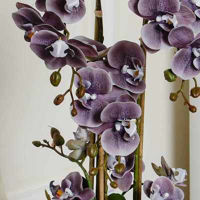 米歇尔仿真带花兰花栽花瓣高档红色剑成品结婚仿真花蝴蝶造型兰盆