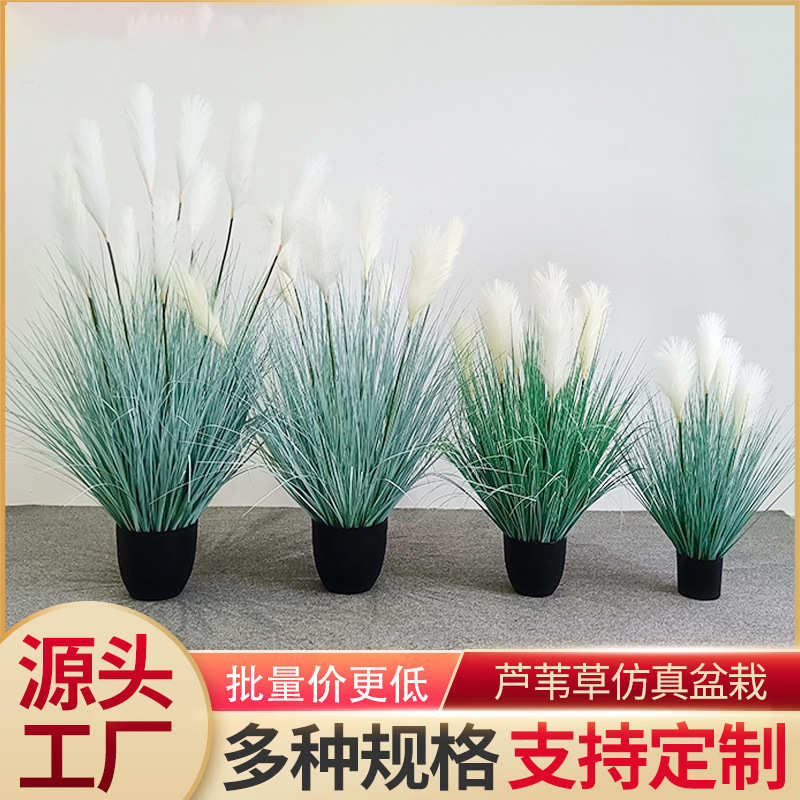 源头厂货仿真芦苇盆栽欧美ins风客厅展厅人造花造景盆栽芦苇假花
