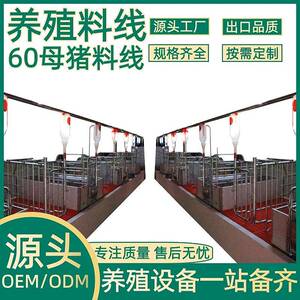正红农牧养殖设备养殖场60母猪料线全自动料线养猪场料线