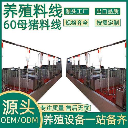 正红农牧养殖设备养殖场60母猪料线全自动料线养猪场料线