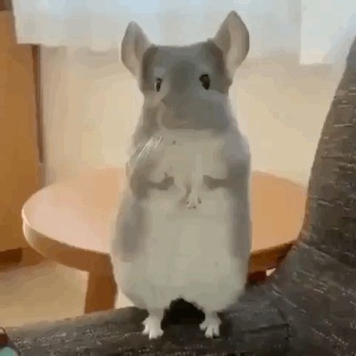 创维酷开6C和海尔LU65C51哪个好?创维酷开6C和海尔LU65C51区别是?