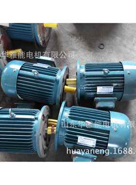 电机V1安装船用Y-H-112M-2-4电机法兰安装孔键和键槽长度相同