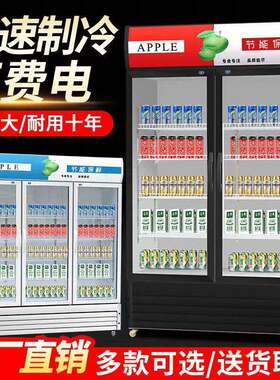 冷藏展示柜饮料柜商用保鲜柜立式双门啤酒冰柜冰箱饭店超市酒水柜
