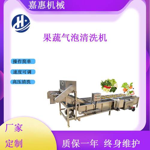 气泡喷淋蔬菜清洗机水果气泡清洗厂家直销果蔬臭氧洗菜机