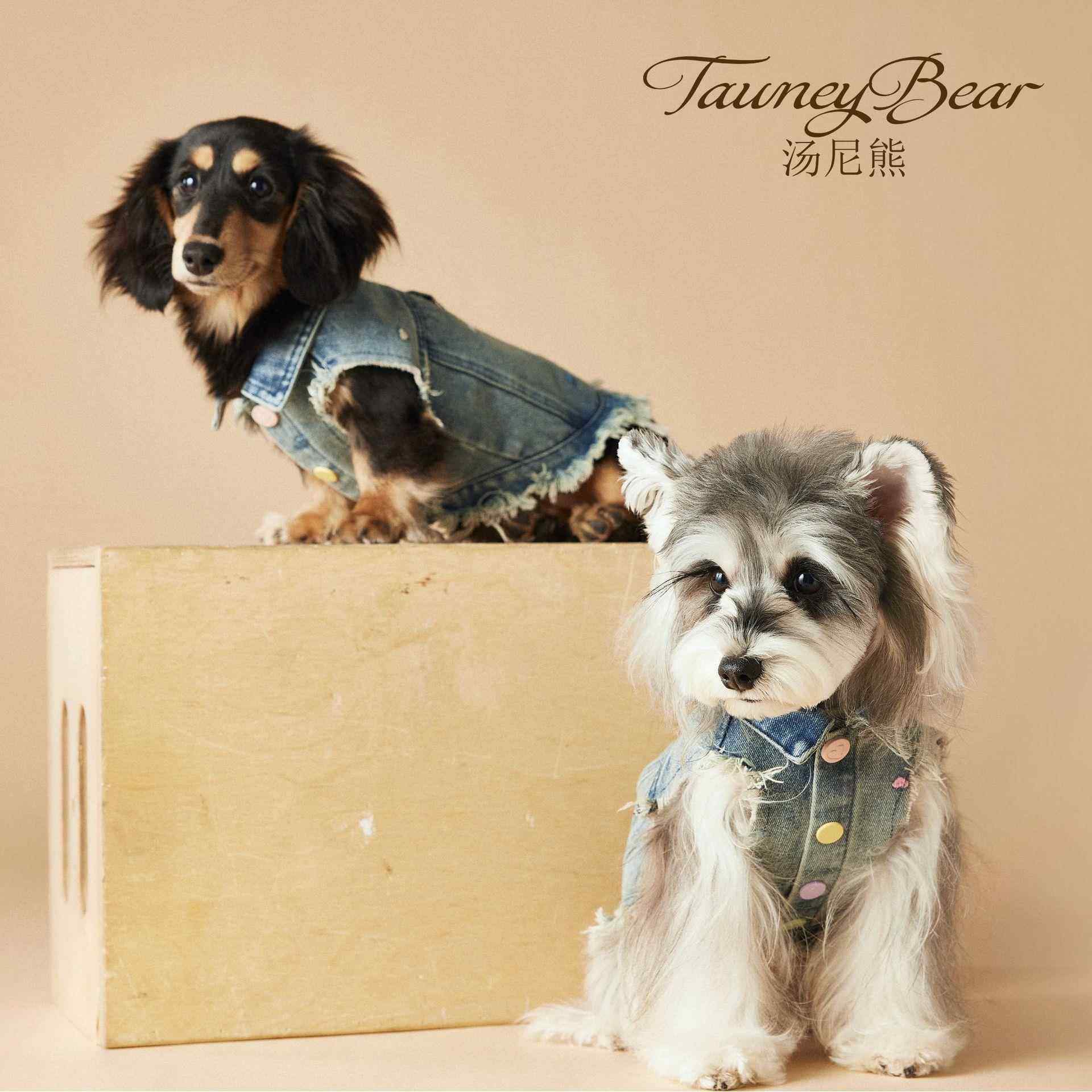 汤尼熊狗狗衣服春夏绣花毛边牛仔马甲马尔济斯雪纳瑞泰迪无袖背心