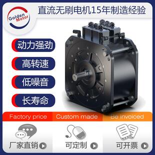 20W72V大功率电机现货无刷直流电机摩托车电机大推力