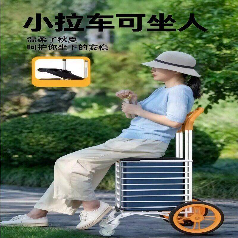 买菜小拉车可坐人家用新款购物车爬楼手拉车折叠轻老人手推车