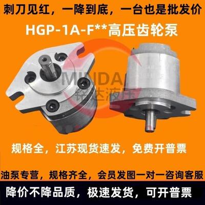 HGP-1A-F6R齿轮泵F1R F2R F3R F4R F5R F8R锯床数控车床液压油泵L