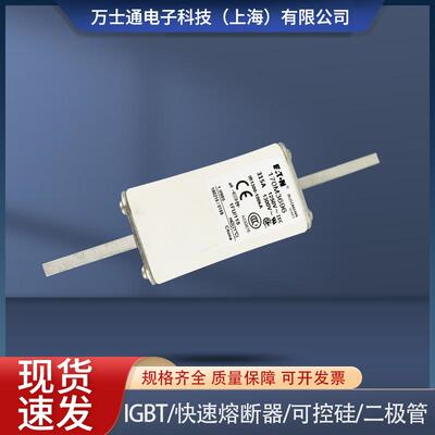 熔断器170M3689 170M3690/3691/3692/3693/3694/3695/3696/3697