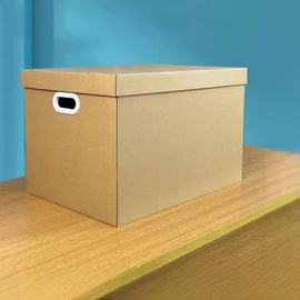 纸箱生日盒子包装礼物盒大号，鞋盒储物盒纸质，收纳箱子纸皮纸板