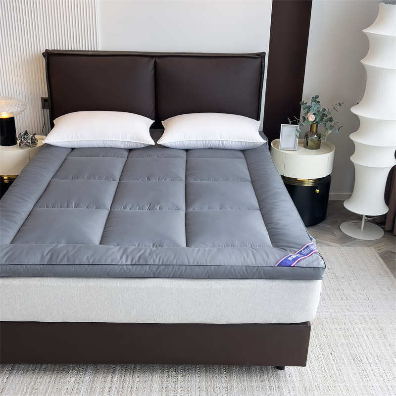 加厚羽丝床垫软垫床褥子家用租房学生宿舍铺底垫被慢回弹榻榻米