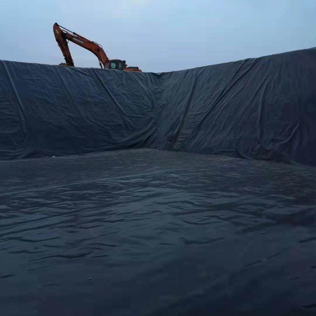 鱼塘防渗膜土工膜加厚黑色塑料养殖膜专用鱼池防水布藕池膜蓄水膜