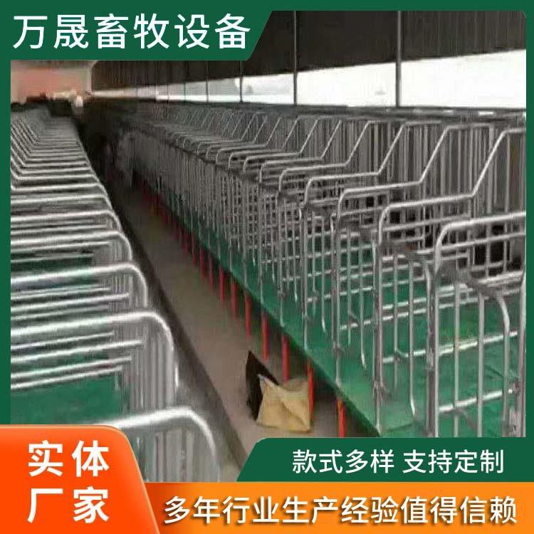 落地式母猪限位栏全复合双体母猪产床产保一体两用床复合床智能