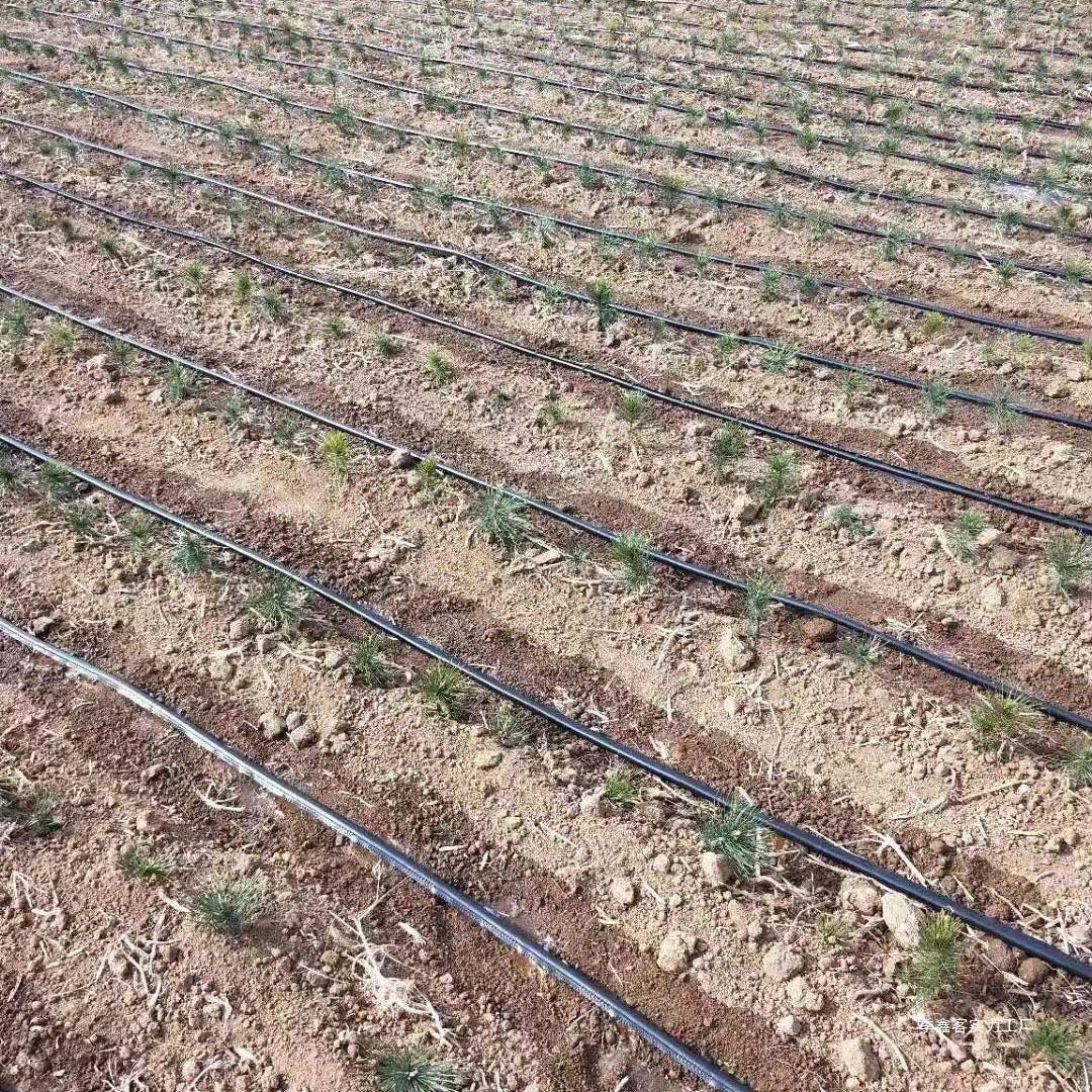 N16迷宫带农用滴灌带大棚蔬菜膜下滴管果园绿化滴水管节水灌华庚