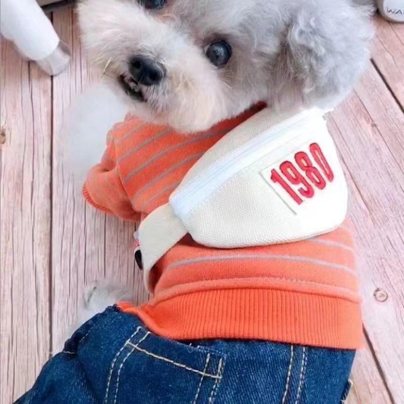 斜挎包连衣裤狗狗衣服条纹雨衣