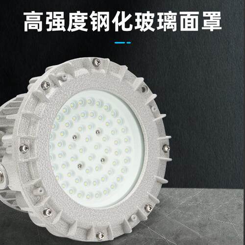 海洋王款BFC8125 LED防爆灯 车间免维护照明隔爆型圆形防爆泛光灯