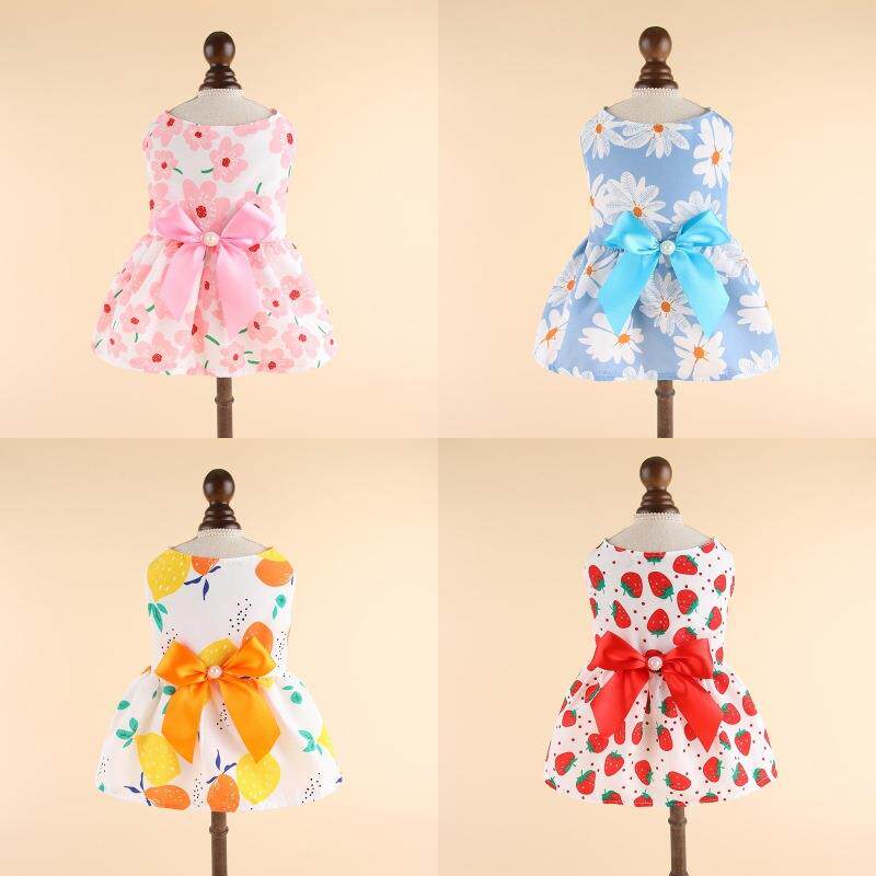 网红春夏款狗狗裙子小中型犬泰迪猫咪宠物衣服可爱狗狗裙薄公主风