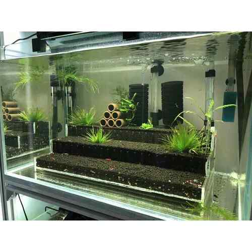 观赏造景缸搭配草缸梯田造景盒 亚克力订制淡水鱼用水草造景缸