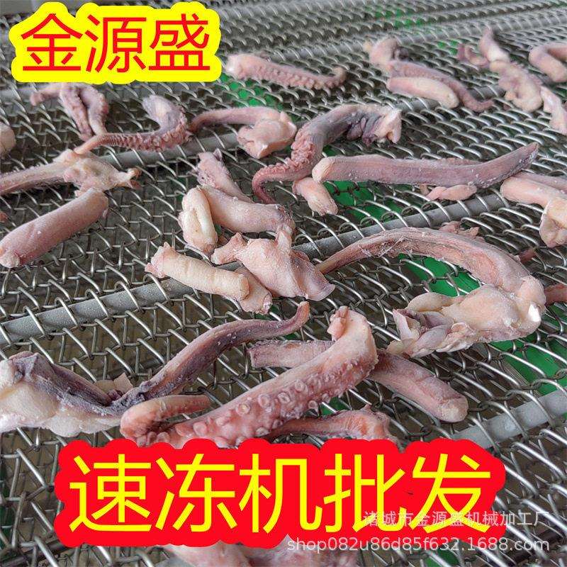 虾滑速冻机商用大型鲍鱼速冻设备低温快速冷冻机厂家