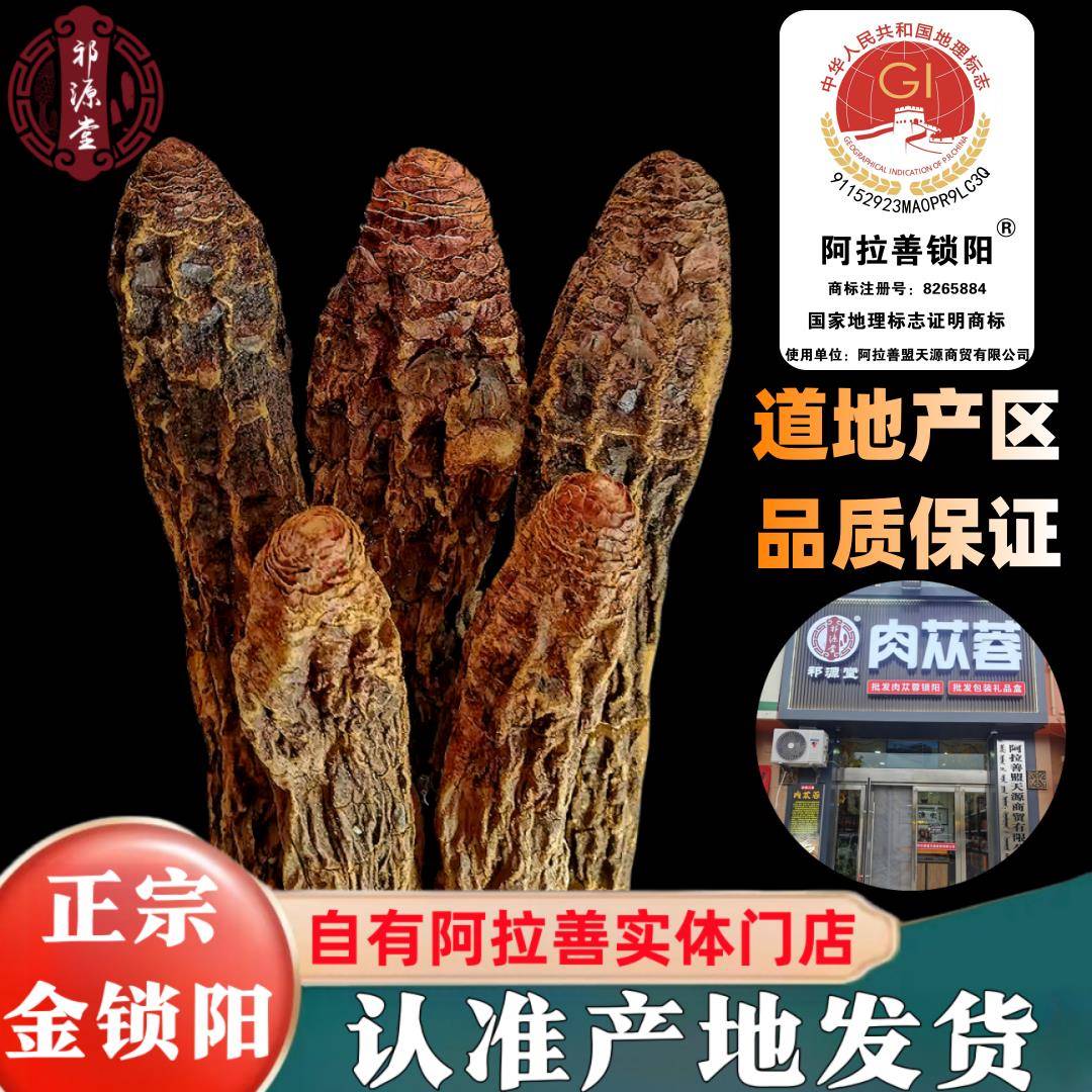 阿拉善锁阳整根切片内蒙古中药材正品搭配肉苁蓉淫羊藿官方经营店