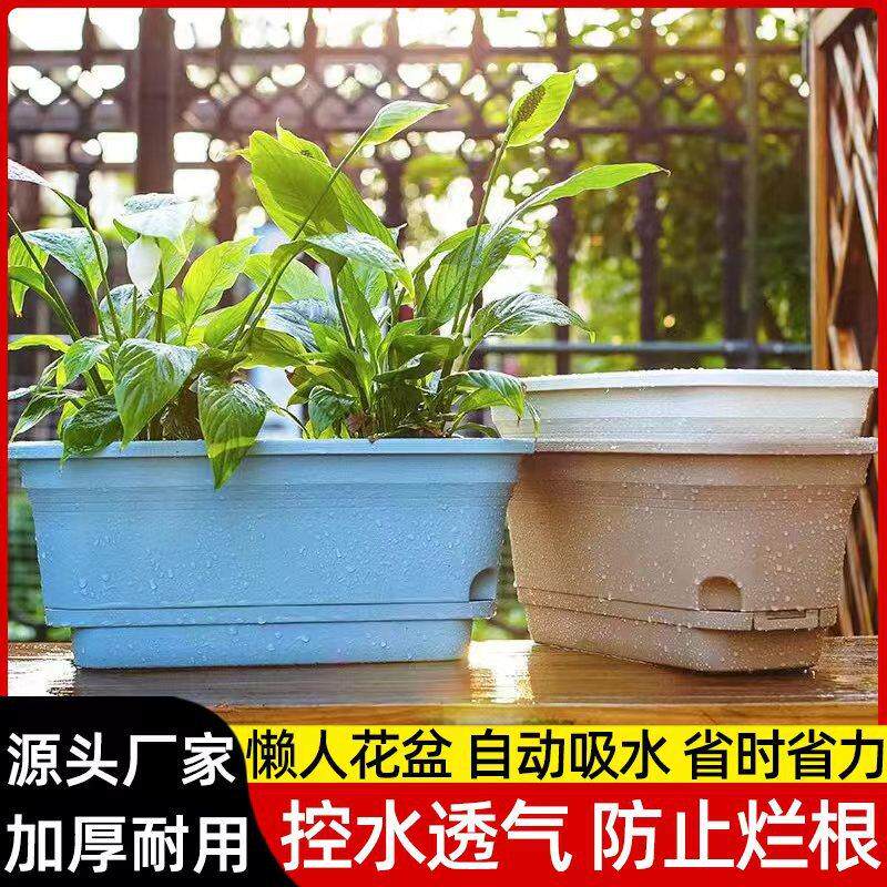 懒人花盆阳台种菜盆自动吸水长方形塑料花盆自带托盘客厅室内花盆