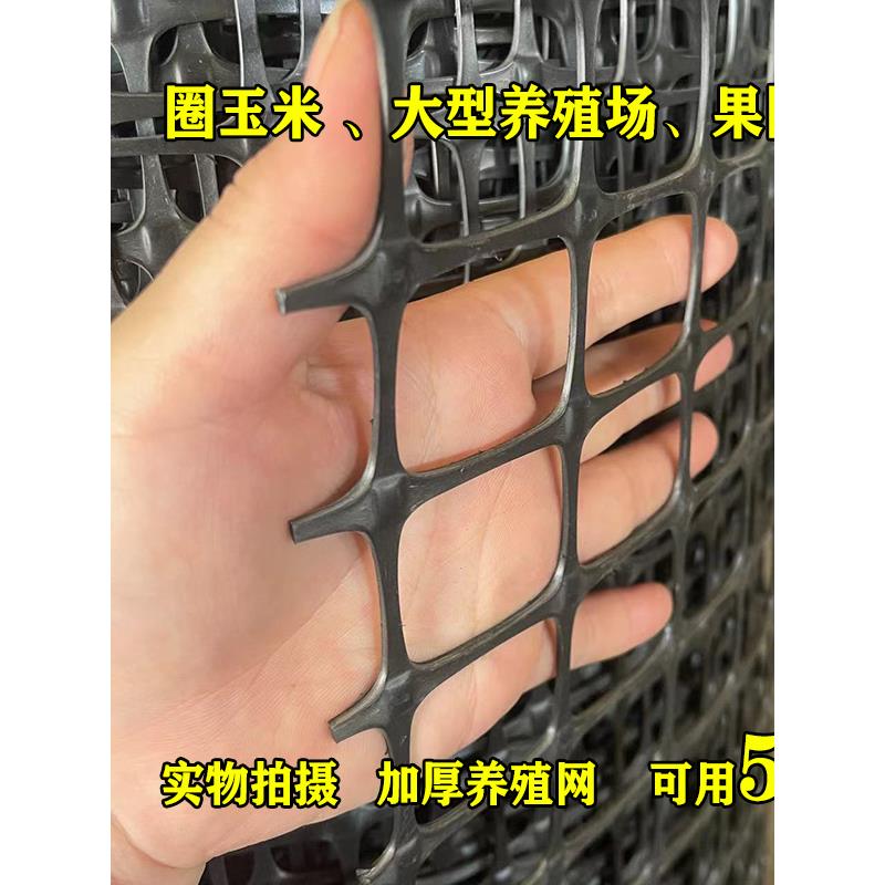 Geote格栅养殖栅栏鸡鸭鹅垫足防漏网防晒防腐蚀栅栏路基塑料栅栏