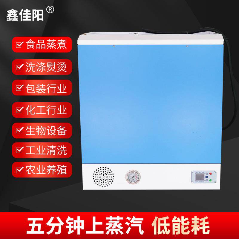 厂家供应加热壁挂式蒸汽发生器24-36KW水泥养护服装整烫蒸汽锅炉