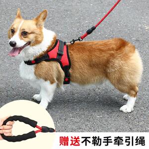 狗狗牵引绳宠物胸背带户外遛狗绳防爆冲狗链子小中大型犬宠物用品