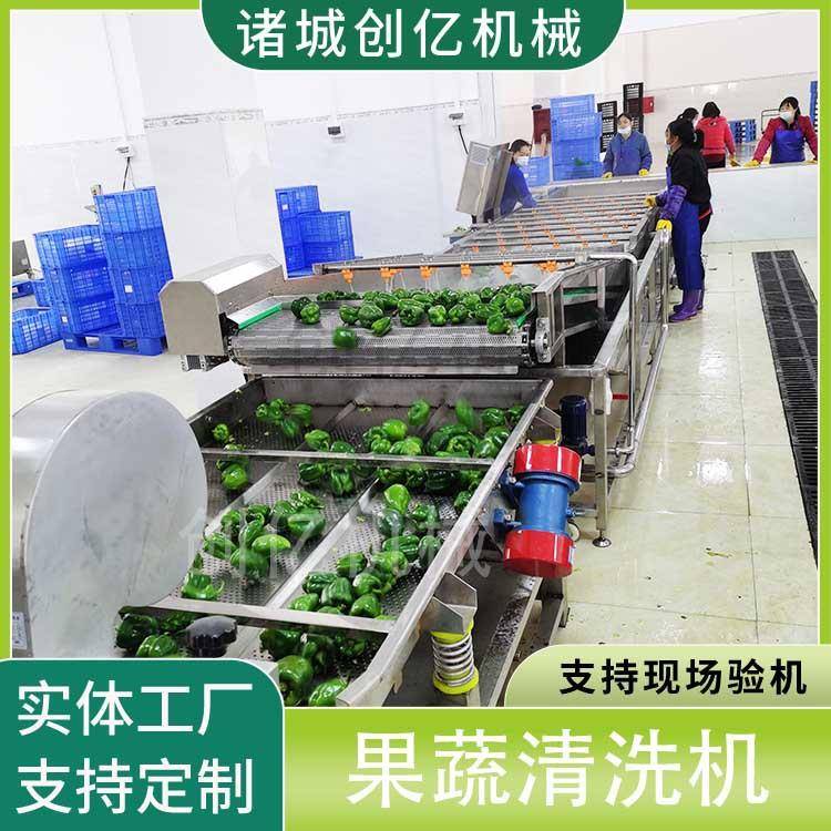 青椒辣椒清洗机定制2025新款蔬菜清洗机带提升气泡喷淋清洗机