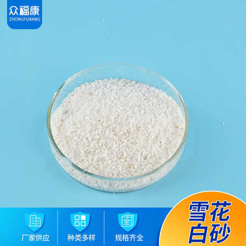 山东厂家 雪花白砂10~20目 多规格石英砂 别墅园林铺路用白石子