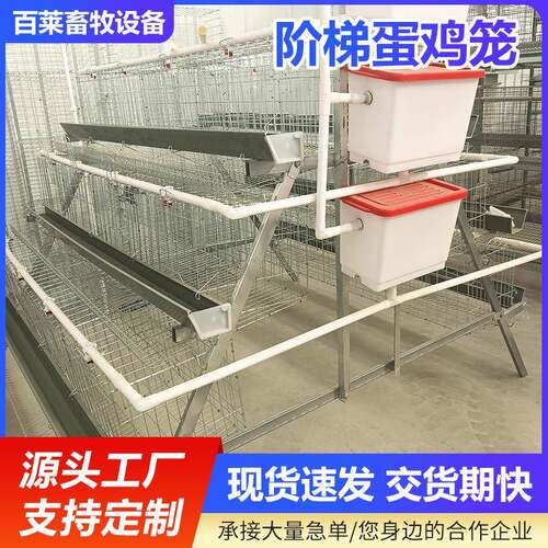 养殖场蛋鸡笼四层五门阶梯式蛋鸡笼阶梯式笼养鸡设备