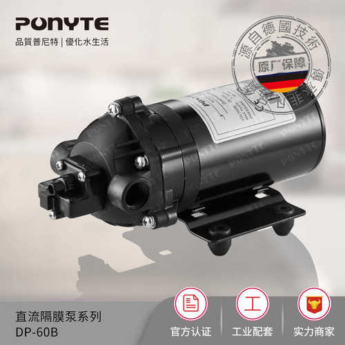 隔膜式系列dp洗车吸潜水泵电动微型-泵抽水泵微型增压60泵 自隔膜