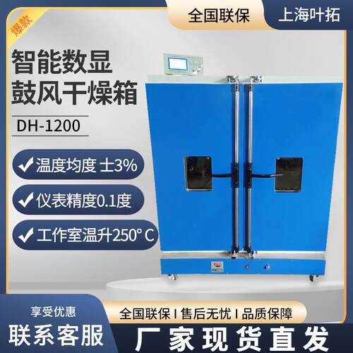 上海 DH-1200 智能数显电热恒温鼓风干燥箱