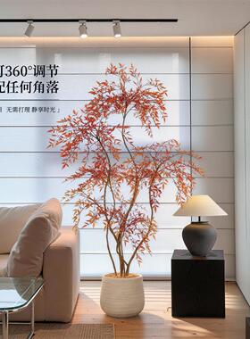 仿真绿植南天竹室内软装美学客厅沙发旁高级氛围感大型假植物盆景