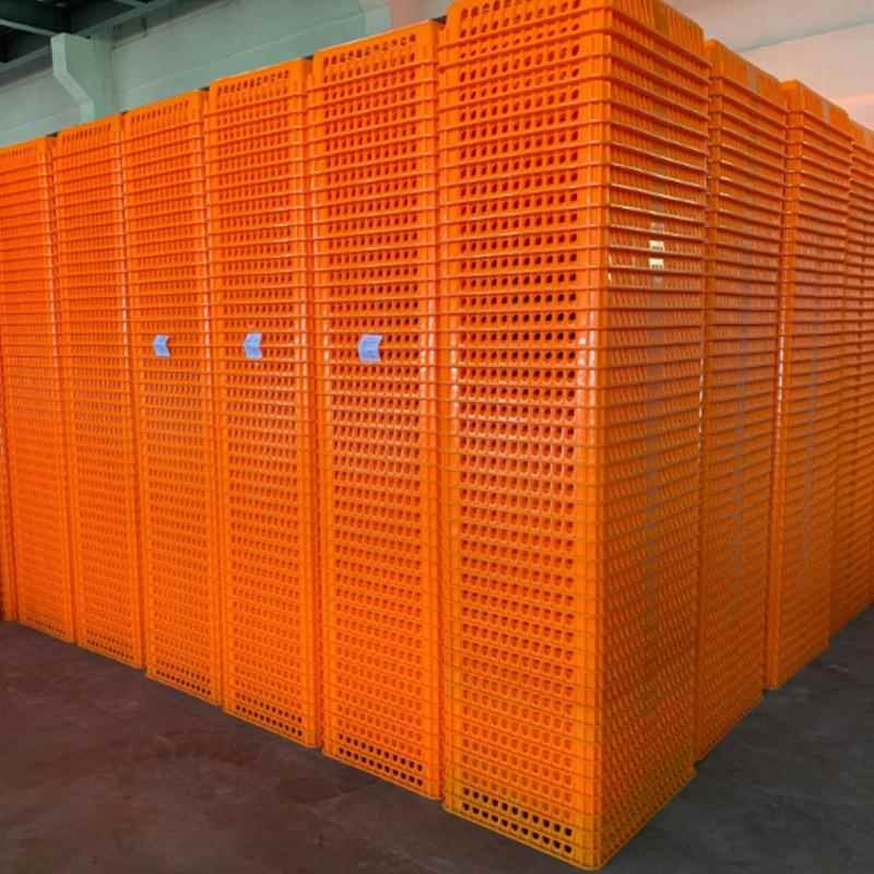 OGM塑料鸡笼家鸽子加运输笼厚运输箱禽殖养塑胶周转箩筐大号