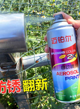 镀铬自喷漆不锈钢金属防锈漆白黑色铁门窗护栏翻新电镀锌银粉油漆