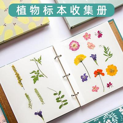 植物标本收集册树叶干 干燥花压花收纳册活页卡册黏贴式DIY相册创