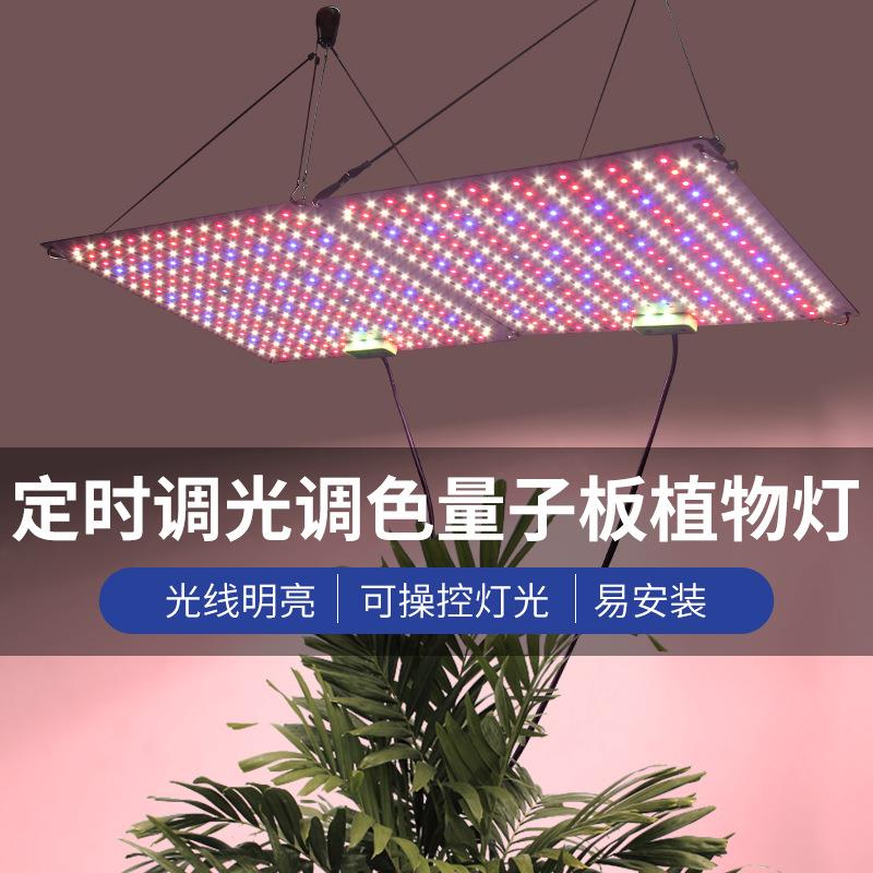 跨肉境led量子板多植物灯全i光谱可调光定时补光上色灯growRUIlgh