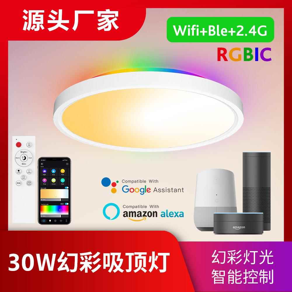智能wifi蓝牙背光幻彩调光调色定时场景语音12英寸圆形氛围吸顶灯