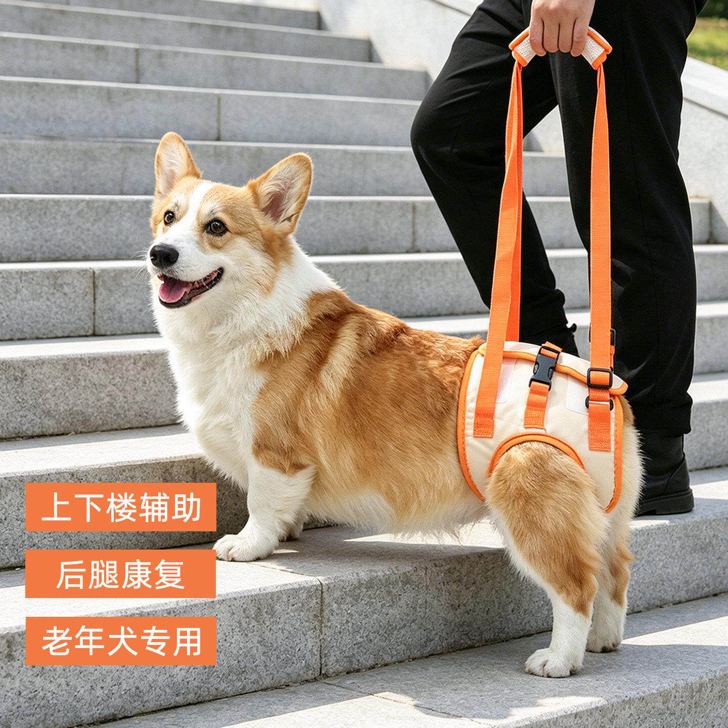 宠物狗狗后腿行走辅助带上下楼康复训练神器老年犬短腿犬牵引绳子