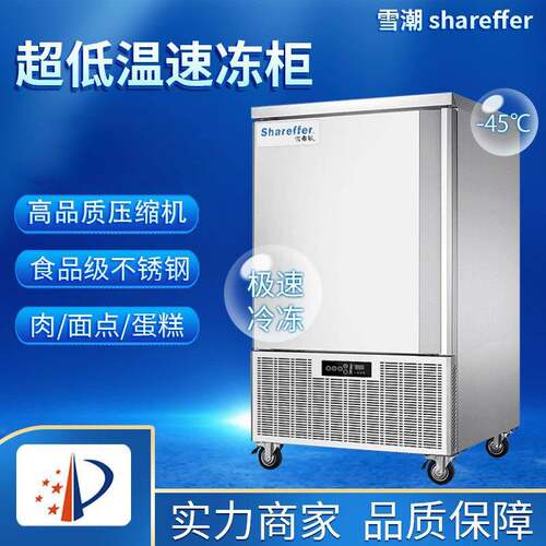 雪潮商用急冻柜冷冻柜包子饺子-40度超低温速冻柜速食极寒