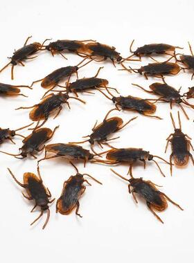Special Lifelike Model Simulation Fake Rubber Cock Cockroach